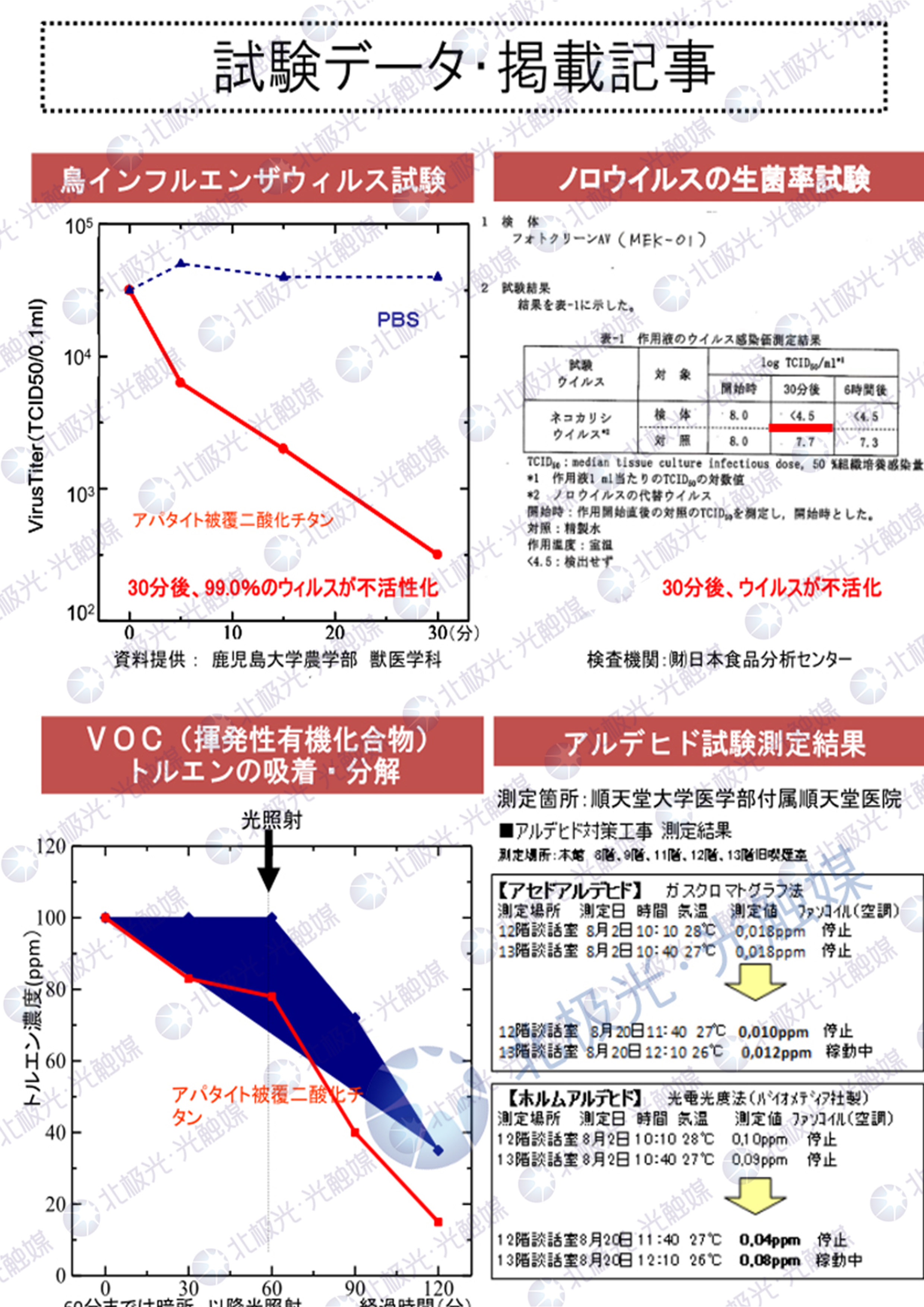 日本无毒报告水印